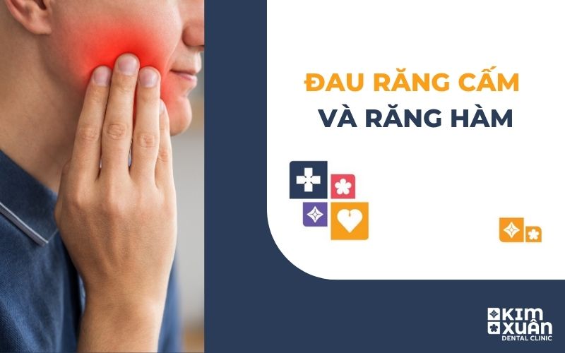 Đau Răng Cấm và Răng Hàm