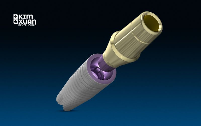 Trụ Implant Mis C1